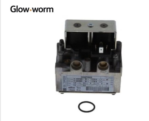 Glow worm hideaway - worm,